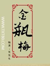 金瓶梅免费电子书下载-《金瓶梅》小说txt下载