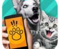 pet translator宠物对话翻译器下载|pettranslator动物语言翻译器下载